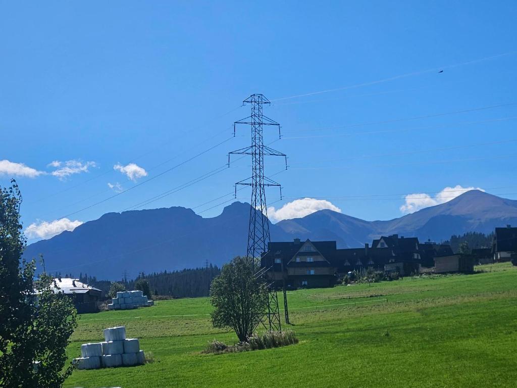 Highland Apartments Pod Gubałówką的山景公寓